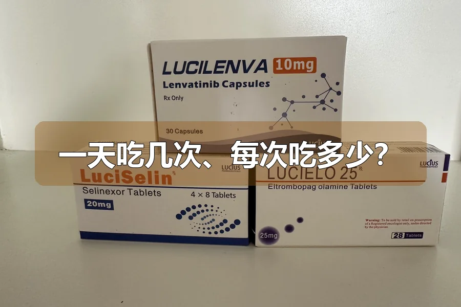 一天吃几次、每次吃多少？